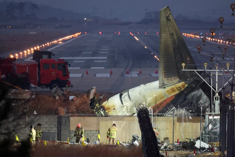 S Korea orders airports to install bird detection cameras after air crash